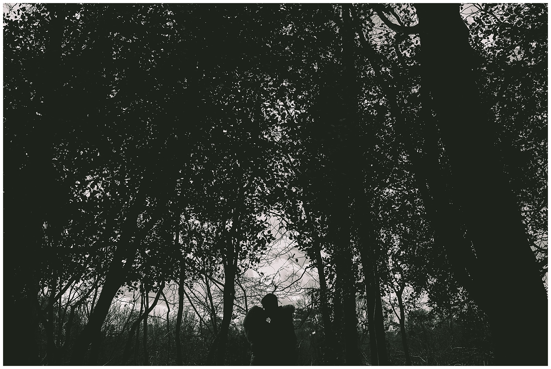 Couple silhouette through the trees 