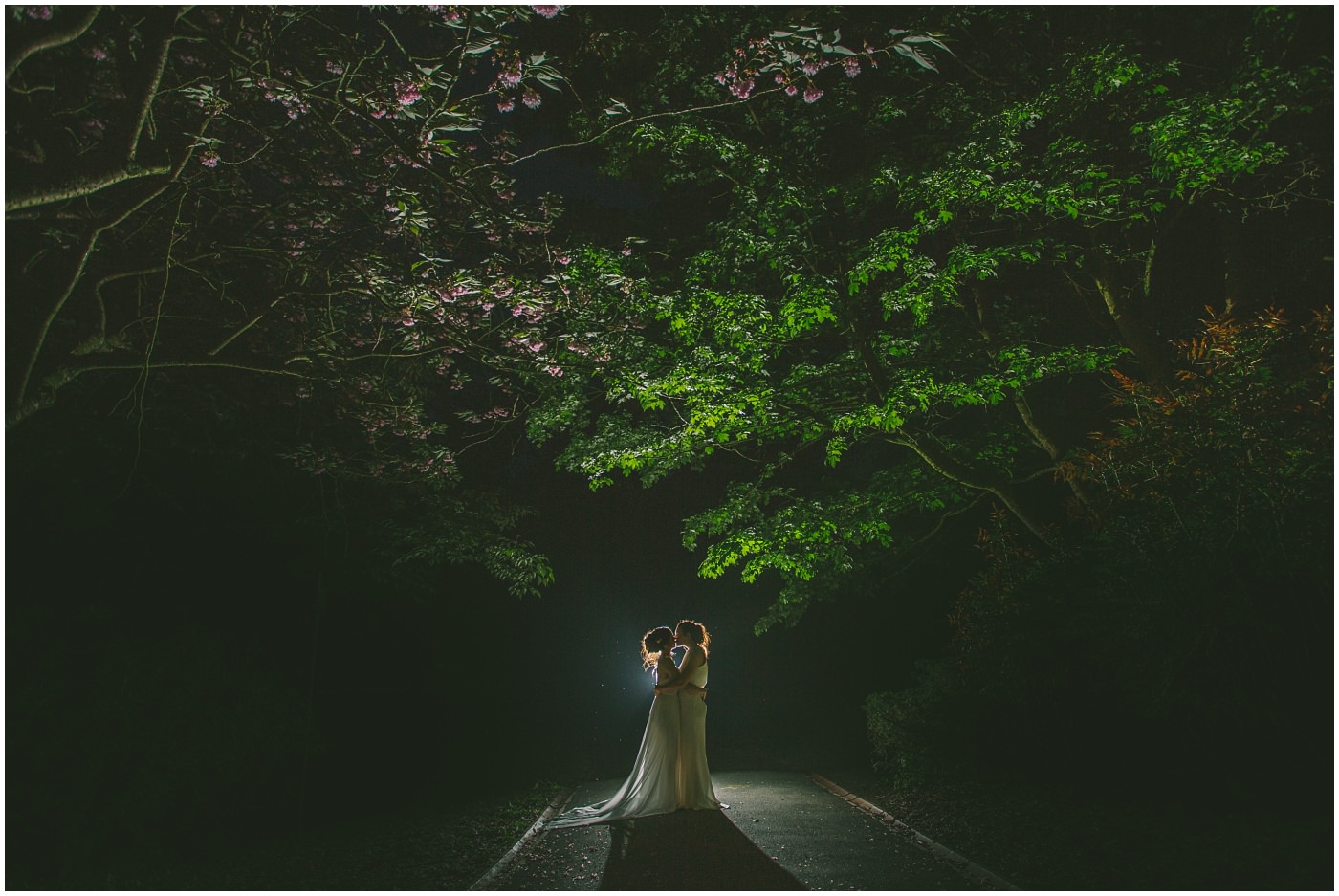 Award winning photography by Nik Bryant
