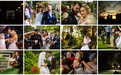 2019 – A Year In Review