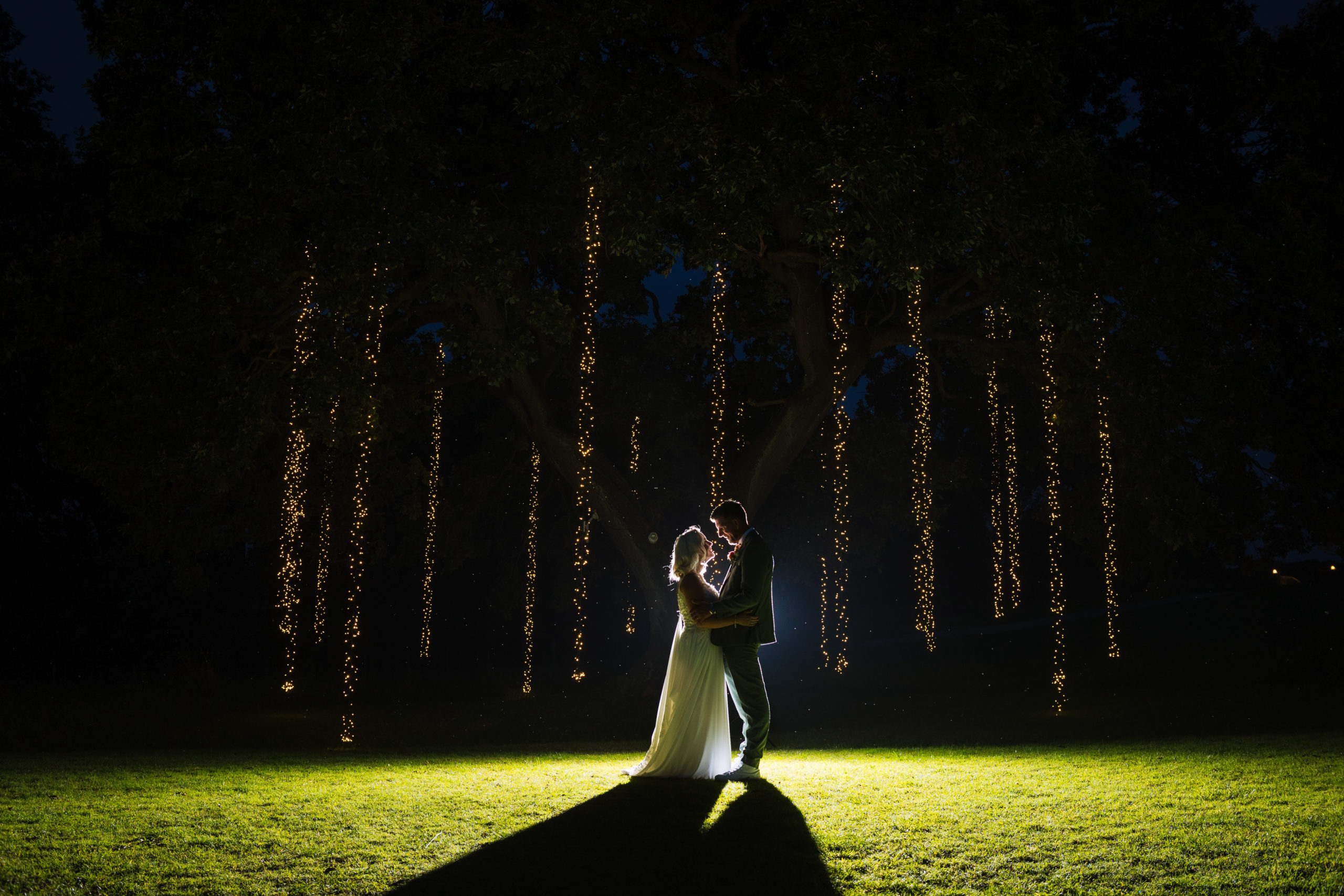 A couple embraces in the glow of cascading fairy lights hanging from a tree at night, surrounded by lush green grass.